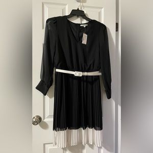 🌸NEW Cleo V-neck Black and White Pleated Dress